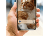 Comedero automático inteligente - Philips PAW5320/02, Detección Movimiento, Programación Comidas, Notificación Reposición, Cámara/Audio HD, Aplicación