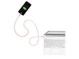 Cordón para móvil - Panda Lanyard, 1.2m Cable, USB-C, Goma, Carga rápida, 60W, Rosa