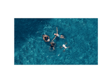 Dron - DJI Mini SE, 12 MP, Vídeo 2.7K, WiFi, 1/2.3” CMOS, Hasta 30 min, 2600 mAh, Altitud máxima 3 km, Blanco