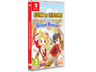 Nintendo Switch Story Of Seasons: Grand Bazaar
