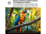 TV QNED 43 - LG 43QNED87A6D, UHD 4K, Procesador Inteligente α7 AI Processor 4K Gen8, Smart TV, DVB-T2 (H.265), Ashed Blue