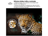 TV OLED 55 - LG OLED55C55LA, OLED 4K, Procesador Inteligente α9 AI Processor 4K Gen8, Smart TV, DVB-T2 (H.265), Negro