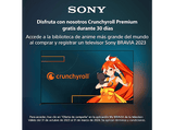 TV QD-OLED 55 -  Sony BRAVIA XR 55A95L, 4KHDR120, TDT HD, HDMI2.1, Perfecto PS5, Smart TV (Google TV), ECO, Alexa, Bluetooth, Chromecast, Aluminio
