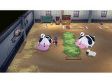 Nintendo Switch Story Of Seasons: Grand Bazaar