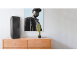 Altavoz de gran potencia - Vieta Pro Party 1, 150 W, USB, Micrófono, Micro-SD, Radio FM, Iluminación LED, Negro