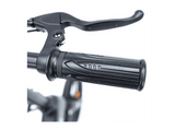 Bicicleta urbana - smartGyro Ebike Soho 16, Potencia Nominal 250W, Velocidad máx. 25 km/h, Auton. 60km, Suspensión Trasera, Display frontal LCD, Gris