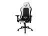 Silla gaming - Drift Rubius White, Carga máx. 150 kg, Reposabrazos 4D, Blanco