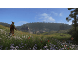 Xbox Series X & Xbox One Kingdom Come: Deliverance Royal Edition