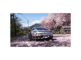 Xbox Series X Forza Horizon 6