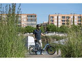 Bicicleta urbana - Youin Amsterdam, 250 W, 25 km/h, 45 km, Plegable, Azul y negro