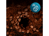 Cafetera de goteo - Cecotec Coffee 66 Grind & Drop, 12 tazas, 1086 W, Programable, Capacidad 1.8 L, Tecnología ExtremeAroma, Grey