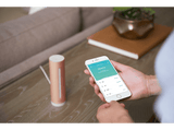 Medidor de calidad del aire - Netatmo NHC-EC, Temperatura/ Calidad del aire, Humedad/ Nivel acústico, Rose Gold