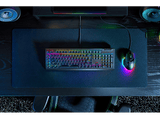 Teclado gaming - Razer Blackwindow V4 X, USB, Teclas iluminadas RGB, 6 teclas macro, Negro