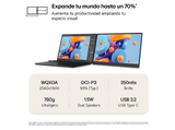 Monitor - LG 17MT70, 17 WQXGA, 60 Hz, 5 ms, IPS, 2x USB-C, Compatible con PC y smartphones, Gris