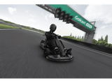 Kart eléctrico - Segway-Ninebot GoKart PRO, 40 km/h, Autonomía 25 km, 4800 W potencia máxima, 4 modos, Gris