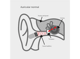 Auriculares True Wireless  - Vieta Pro Bone, Conducción Ósea, IPX 6, Hasta 8 hs, Negro