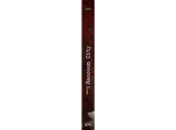 Sombras de Raccoon City - Ramón Méndez