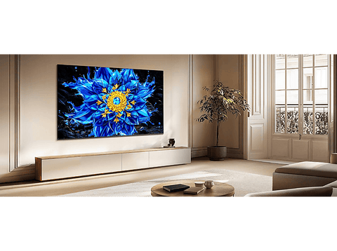 TV QD-Mini LED 65