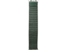 Correa - Friendly License Alpine, Para AppleWatch 38/40/41 mm, Verde