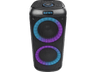 Altavoz de gran potencia - Vieta Pro Party 2, 100W, Hasta 9hs, Efecto de luces, FM, Karoake, Negro
