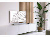 Hub - Homey Pro, Compatible con Homey, Google Assistant, Amazon Alexa y Apple Siri, Wi-Fi, Bluetooth, Negro