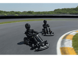Kart eléctrico - Segway-Ninebot GoKart PRO, 40 km/h, Autonomía 25 km, 4800 W potencia máxima, 4 modos, Gris