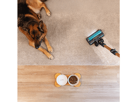 Aspirador escoba - Cecotec RX70 AquaPet Flex, 780 W, 100 min Autonomía, Cepillo HairLess XL, Sin bolsa, Negro/Dorado