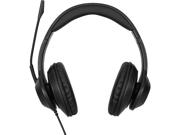 Auriculares - Targus AEH102GL 124805