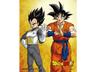 Póster 3D - Sherwood Dragon Ball - Goku & Vegeta, Enmarcado, Licencia oficial Dragon Ball