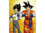Póster 3D - Sherwood Dragon Ball - Goku & Vegeta, Enmarcado, Licencia oficial Dragon Ball