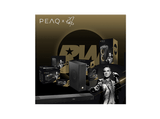 Altavoz bluetooth - PEAQ PPA 550-RW Retro, 60W, Bluetooth, 8h Autonomía, Edición Robbie Williams, True Wireless, Negro