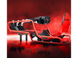 Cockpit - Playseat® Formula Intelligence Ultimate Edition, Ferrari Rojo
