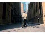 Patinete eléctrico - Segway Ninebot F3 PRO, Potencia máx. 1200W, Potencia Nominal 550W, Carga máx. 120 kg, 10200 mAh, 25km/h, 70km auto.,Gris y Negro