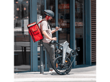 Bicicleta urbana - smartGyro Nimbus, Eléctrica, Plegable, Potencia Nominal 250W, Velocidad 25 km/h, 60 km, IPX4, Gris