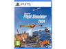 PS5 Microsoft Flight Simulator