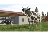 Nintendo Switch Farming Simulator 26