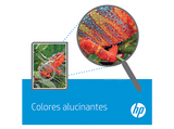 Cartucho de tinta - HP Cartucho de tinta Original 903XL negro de alto rendimiento