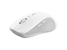 Ratón inalámbrico - Trust Ferro, Inalámbrico, 3200 dpi, 9 botones, Blanco