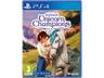 PS4 Wildshade: Unicorn Champions