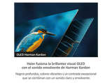 TV OLED 65 - Haier C90 Series H65C900UX, Smart TV (Google TV), HDR 4K, Altavoz Frontal Harman Kardon, Dolby Atmos-Vision, Gaming 120Hz, Plata