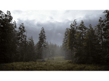 PS5 Hunting 2 Simulator