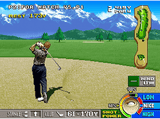 Cartucho juego retro Neo Geo: Big Tournament Golf