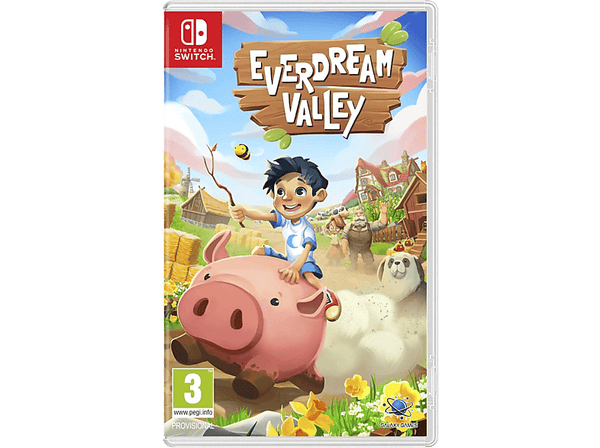 Nintendo Switch Everdream Valley