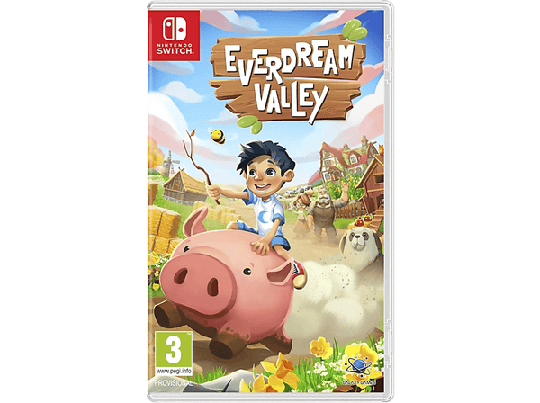 Nintendo Switch Everdream Valley 127003