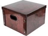 Accesorio - Pyramid International Caja Harry Potter, 36.7 x 36 x 23.8 cm