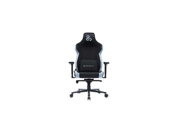 Silla gaming - Newskill Banshee Professional, 4D, Carga máx. 150 kg, 4 Direcciones Ajuste Lumbar, Azul/Negro
