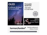 TV OLED 65 - Haier C90 Series H65C900UX, Smart TV (Google TV), HDR 4K, Altavoz Frontal Harman Kardon, Dolby Atmos-Vision, Gaming 120Hz, Plata