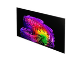 TV OLED 83 - LG OLED83G64LW, OLED evo 4K, Procesador Inteligente α11 AI Processor 4K Gen3, Smart TV, DVB-T2 (H.265), Gallery Design, Negro