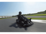 Kart eléctrico - Segway-Ninebot GoKart PRO, 40 km/h, Autonomía 25 km, 4800 W potencia máxima, 4 modos, Gris