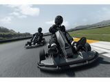 Kart eléctrico - Segway-Ninebot GoKart PRO, 40 km/h, Autonomía 25 km, 4800 W potencia máxima, 4 modos, Gris
